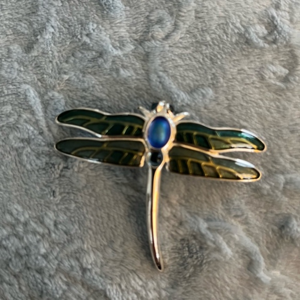 Vintage Monet Green Enamel Silver Tone Dragonfly‎ Brooch